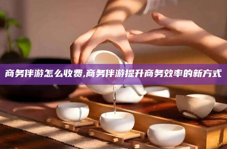 驻马店商务伴游怎么收费,商务伴游提升商务效率的新方式